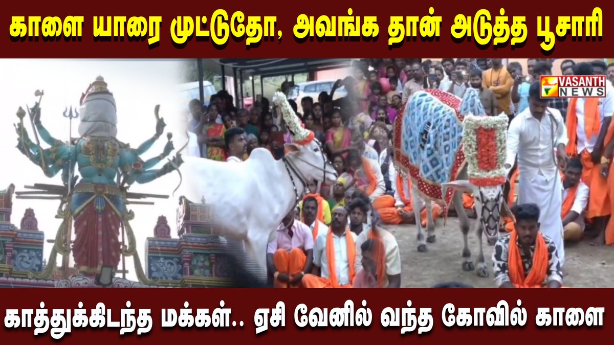 VasanthNews's tweet image. யார் அடுத்த பூசாரி… போட்டியை ’முட்டி’ முடித்து வைத்த கோவில் காளை.. இது புதுசா இருக்கே! |Vasanth News   

▶️youtu.be/5oBF0_maZq8 

#TempleBullTradition #NextPujariSelection #UniqueRitual #BullHeadButt #TempleFestival #ACVanArrival #CulturalTradition #TamilNaduNews #VasanthNews