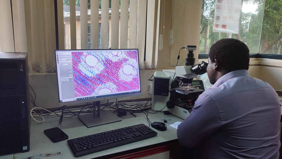 Aster Gebrekirstos tweet media