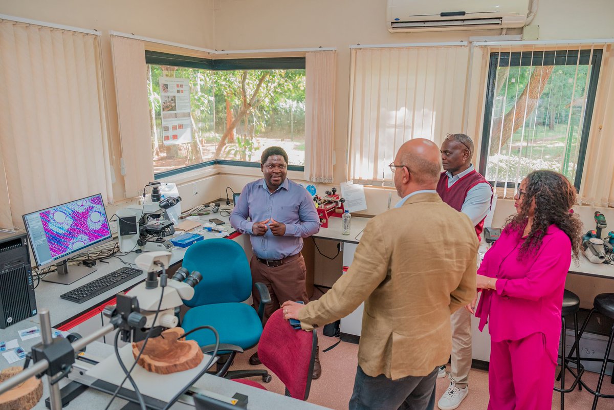 Aster Gebrekirstos tweet media