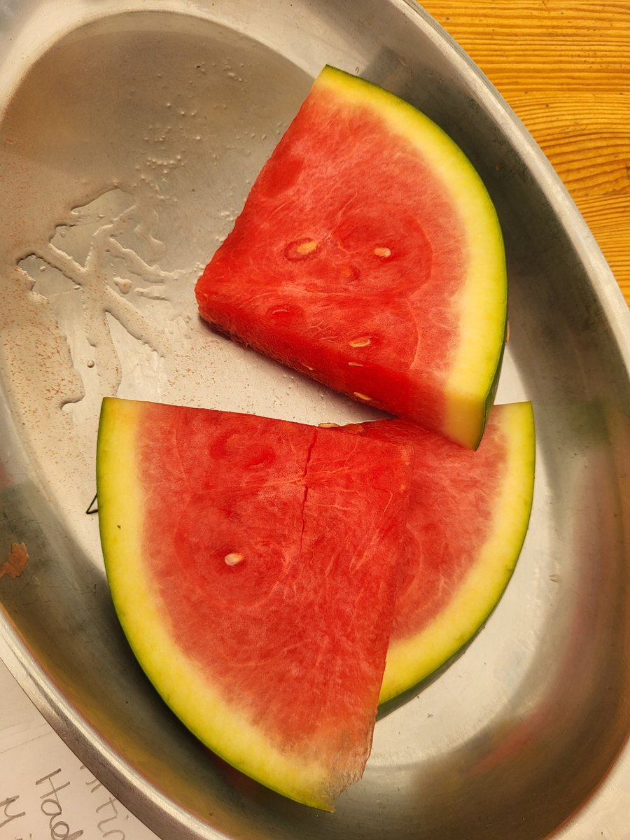 Fielding School Residential Trips tweet media