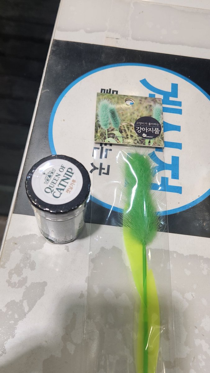 우리 고양이는 장난감 중에서 강아지풀을 제일 좋아한다. 시판 강아지풀은 과연 어떨런지..