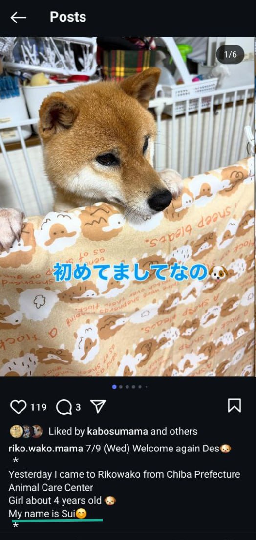 raidstar__'s tweet photo. @EricCryptoman Don’t fade $SUI or you might just miss the next doge.

@SuiShibaETH https://t.co/LrL0jWGX7w