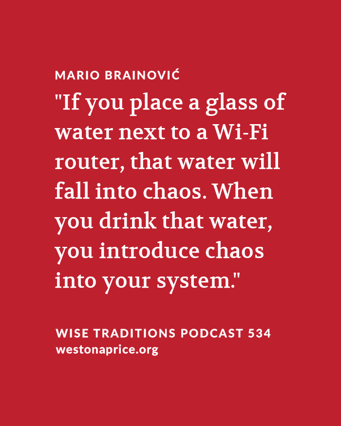 WestonAPrice's tweet image. Learn how to heal and restructure your water so it can heal you with Mario Brainović in our latest Wise Traditions podcast: bit.ly/restructredwat…. Follow the link for audio, transcript and video!
The water in and around us is negatively impacted by EMFs and toxins in the…