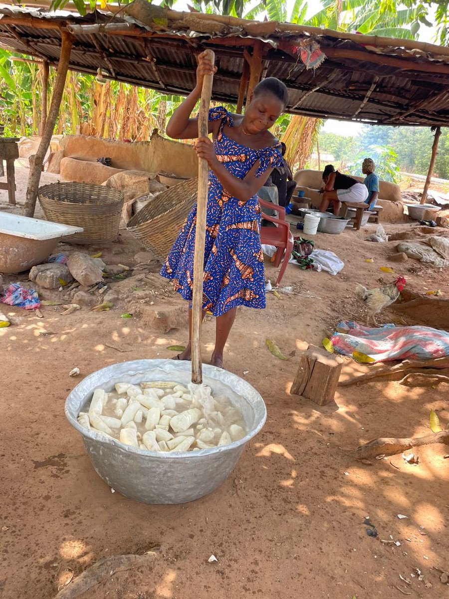 UNUINRA's tweet image. 👩🏽🌾🧑🏾🌾in🇬🇭contribute nearly 70% of subsistence crop production.
However, they face challenges including limited access to land,financial services & agritech among others.
#INFoCAT fosters the innovation of clean agritech to reduce drudgery & inefficiency in farming communities.