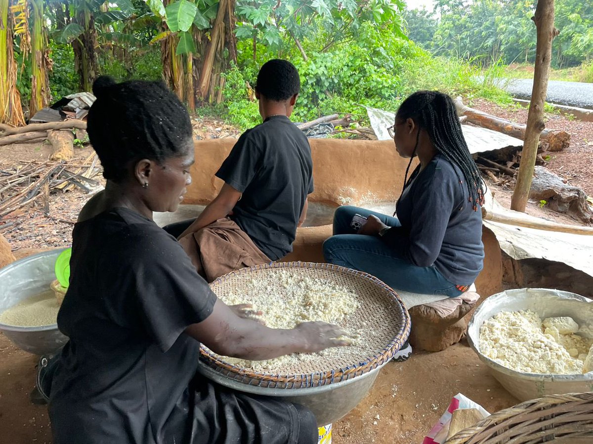 UNUINRA's tweet image. 👩🏽🌾🧑🏾🌾in🇬🇭contribute nearly 70% of subsistence crop production.
However, they face challenges including limited access to land,financial services & agritech among others.
#INFoCAT fosters the innovation of clean agritech to reduce drudgery & inefficiency in farming communities.
