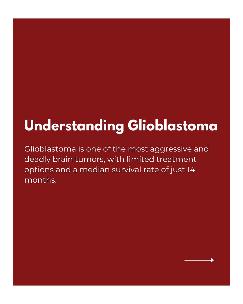 OU_Neurosurgery's tweet image. We uncovered a key protein, ZIP4, that fuels the rapid growth of glioblastoma — one of the deadliest brain tumors.
Want to dive deeper? Read the full article from the University of Oklahoma and stay updated on life-changing medical research.
tinyurl.com/mt8hmmpj