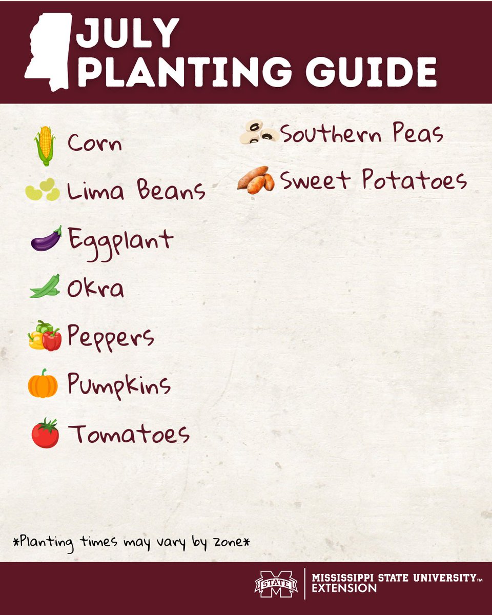 MSU Extension (@msuextservice) on Twitter photo Hereās your veggie planting guide for July!
Read our Mississippi Vegetable Gardenerās Guide for TONS of great info: extension.msstate.edu/publications/mā¦
Contact your countyās Extension agent for localized guidance! Find yours here: extension.msstate.edu/county-offices
#GrowWithExtension #MSUext Hereās your veggie planting guide for July!
Read our Mississippi Vegetable Gardenerās Guide for TONS of great info: extension.msstate.edu/publications/mā¦
Contact your countyās Extension agent for localized guidance! Find yours here: extension.msstate.edu/county-offices
#GrowWithExtension #MSUext