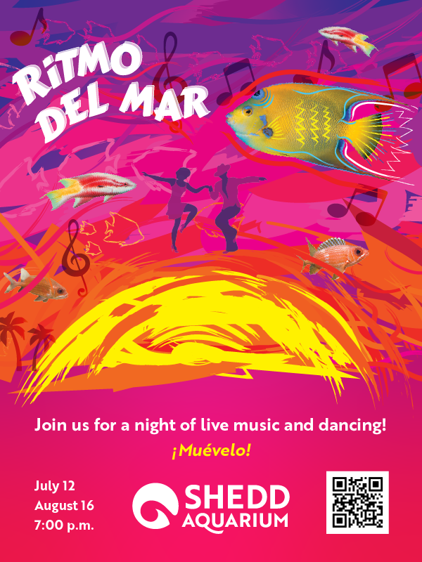🎶 ¡Muévelo! Dance the night away at <a href="/shedd_aquarium/">Shedd Aquarium</a> Ritmo del Mar

Salsa, cumbia, merengue, Latin jazz + all exhibits open after hours.

Food &amp; drinks available for purchase.

🎟️ Don’t miss it → bit.ly/3Tq3I7p

#RitmoDelMar #SheddAquarium #Chicago #summer #LiveMusic