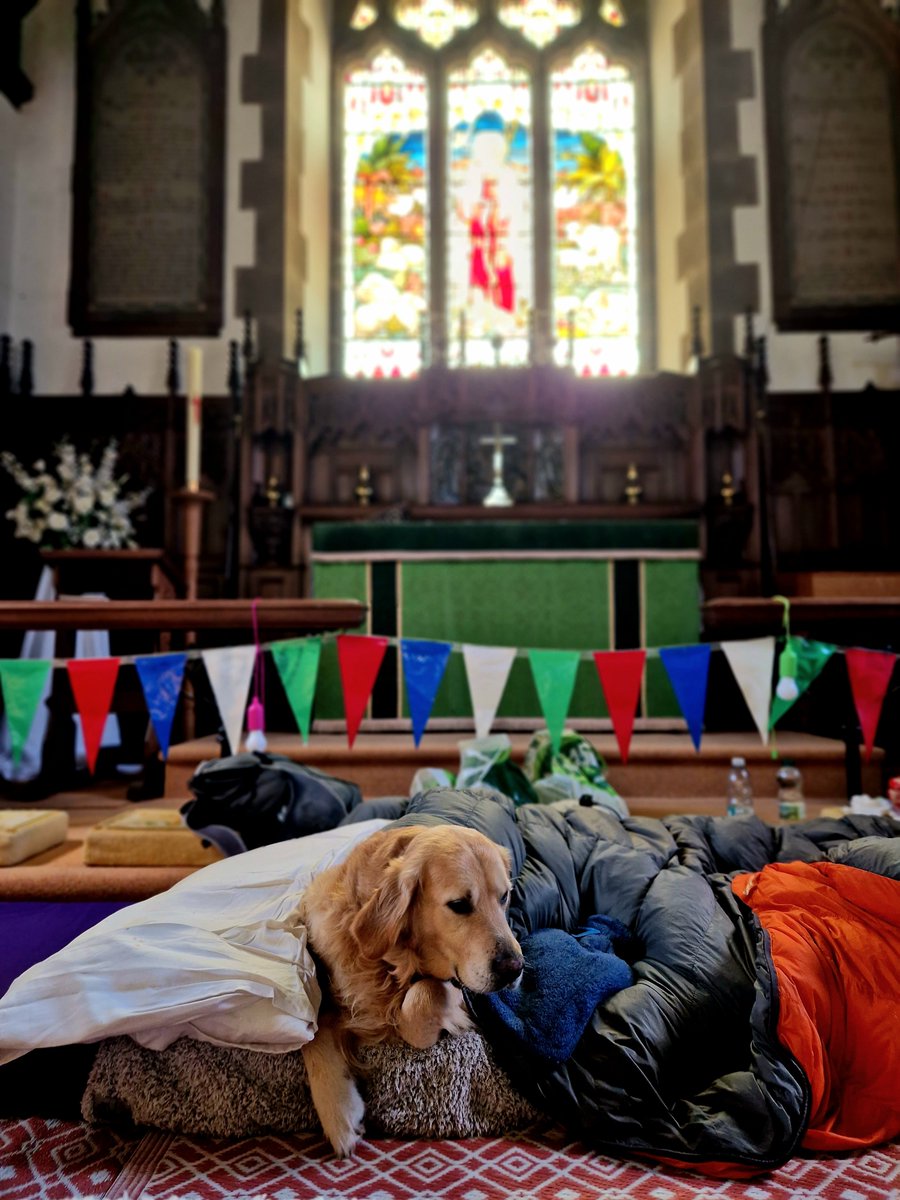 Champing tweet media