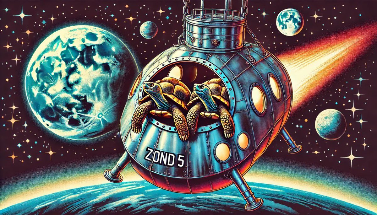 🐢 Random Moon Fact: Two tortoises orbited the Moon before humans!

🚀 Get ready for Mooning
⏰ When: 24 Hours
🔥 For: 0-Connector NFT Holders
🎁 New to Globula? Mint your 0-Connector in TG-MiniApp
❗️ Do not move 0-Connector from your wallet to be eligible for loot!

🍀Good Luck!