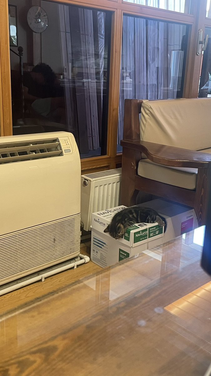 klima: 18 derece
kedi: o zmn ben biraz daha burda yatim