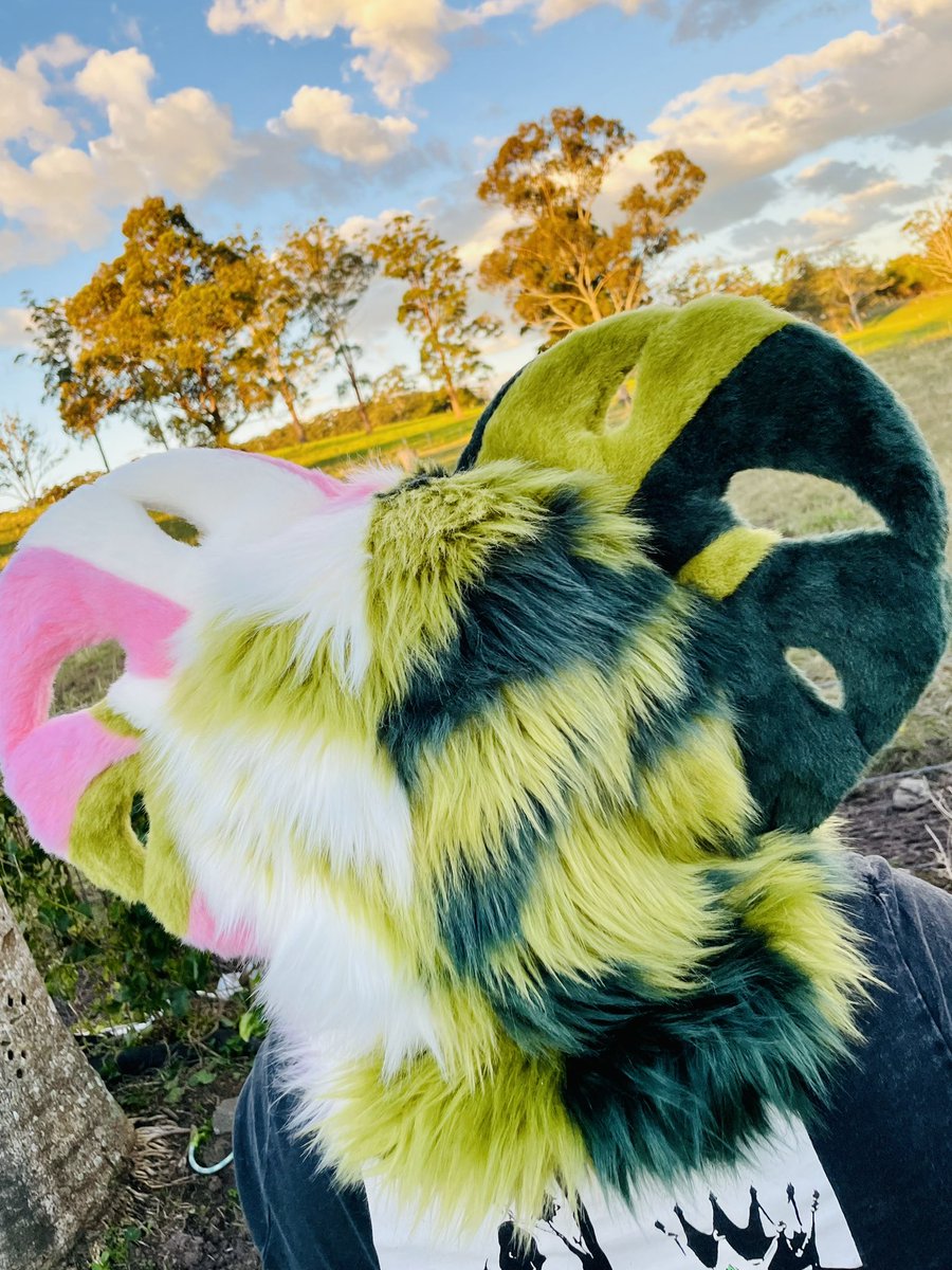TheUnholyColle1's tweet image. Which side of this bean is your favourite? Plus you can see how the patterns on the back continue.
I really did go a little wild with this one.
This monstera cobra will be available at my Aurawra table later this month.
#furry #fursuit #fursuitmaker