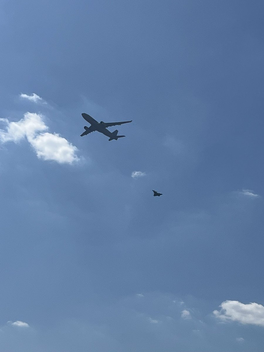 SebChouba's tweet image. Ils sont de retour comme tous les ans 🥰