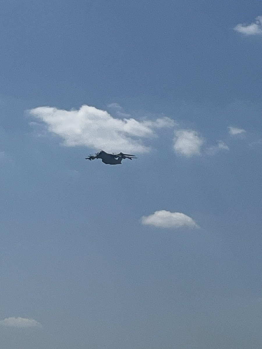 SebChouba's tweet image. Ils sont de retour comme tous les ans 🥰