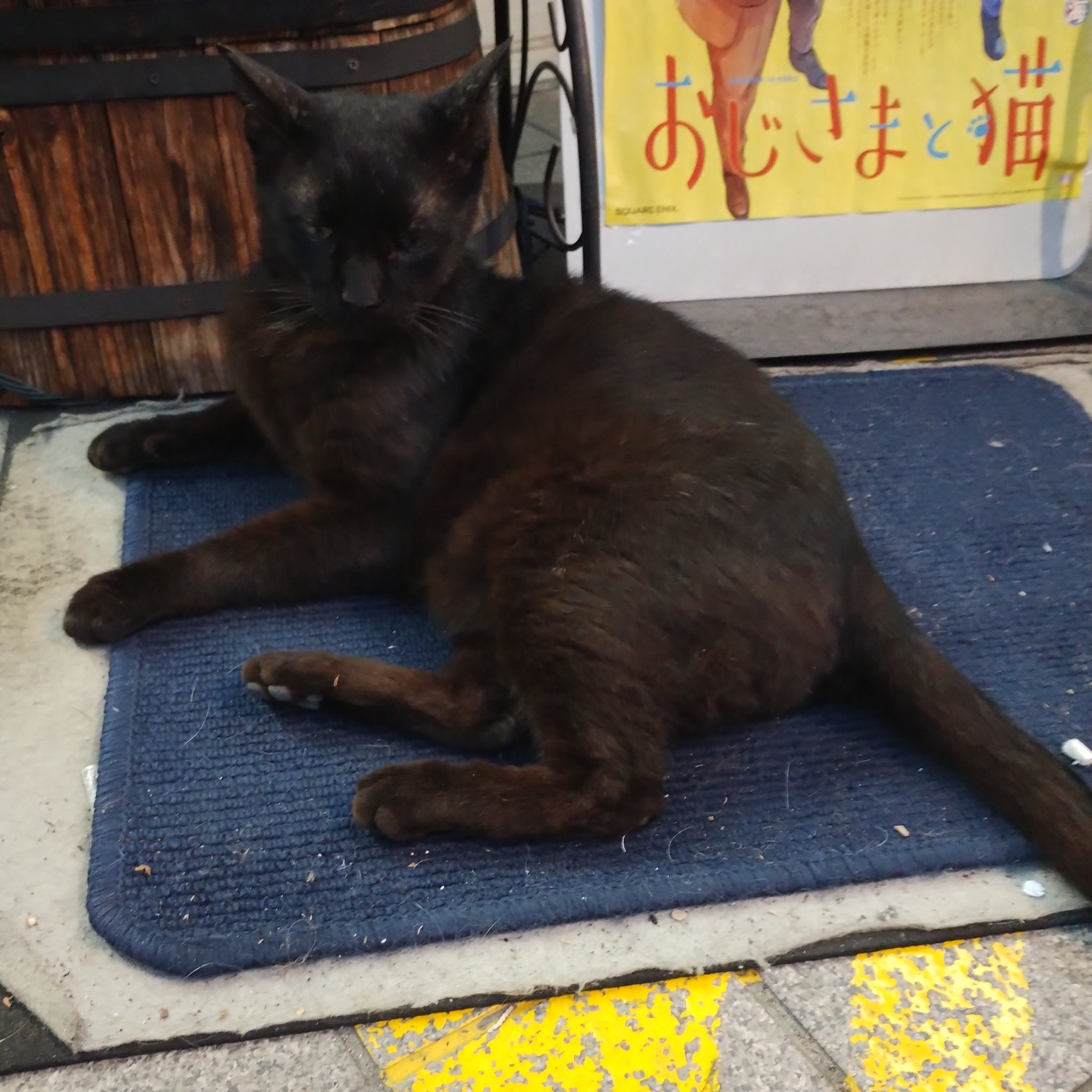 黒猫 so8ERYRw_200x200.jpg