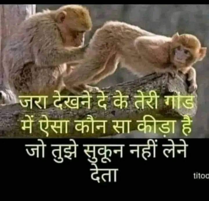 <a href="/amityadavbharat/">Amit Yadav (Journalist)</a>