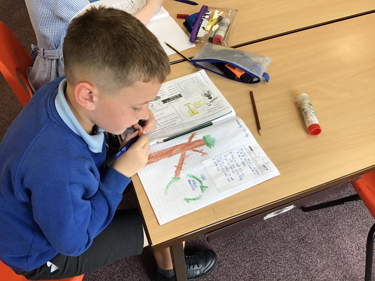 Stedwarddarwen (@stedwarddarwen) on Twitter photo Year 3 thought of their pledges to live simply and be good Stewards of God and a Pilgrim of Hope <a href="/CAFODSchools/">CAFOD Schools</a> <a href="/RomeroCAT1/">Romero CAT</a> <a href="/CaritasSalford/">Caritas Salford</a> Year 3 thought of their pledges to live simply and be good Stewards of God and a Pilgrim of Hope <a href="/CAFODSchools/">CAFOD Schools</a> <a href="/RomeroCAT1/">Romero CAT</a> <a href="/CaritasSalford/">Caritas Salford</a>