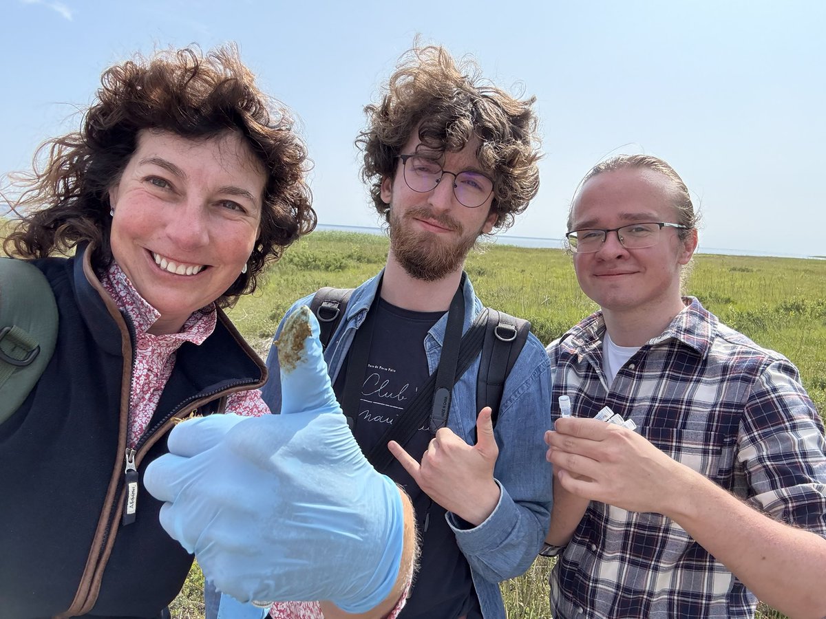 Spreading the dung appreciation  on the <a href="/GrasslandE/">GrasslandEDGG</a> excursion to Hailuoto - 2 new #DungBeetle enthusiasts from Poland, <a href="/KWalach_/">Karol Wałach</a> &amp; Hubert Brol 
🌾🐏💩🪲❤️
#FinlandDungathon