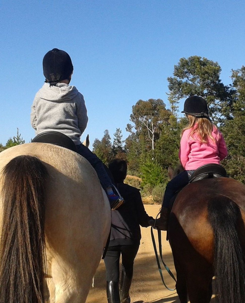 Little Adventurers Welcome
⁠
In Tulbagh, little adventurers can soar through the air with @ziplineceres, bounce along the vineyards on @tulbagh_tractor_ride, or roam free on the gentle trails at @murludihikingtrail. @tulbagh_horse_trails has them covered with scenic rides. 😉