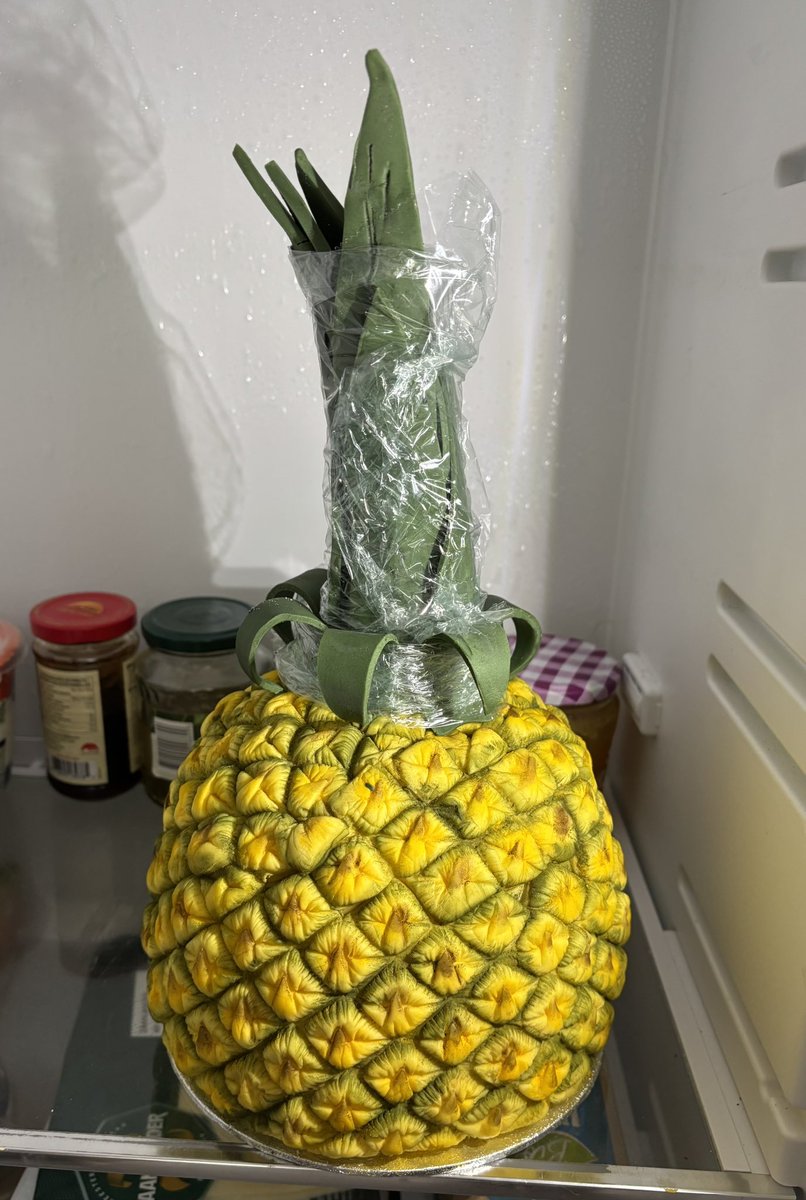 KarinAlphen's tweet image. Deze gaat morgen mee naar kantoor. Hopelijk overleeft ie het transport😅. Cadeau voor twee collega’s.
#taart #vanille #ananas #passievrucht #fondant #vanillecake #yolandagampp #howtocakeit #htci