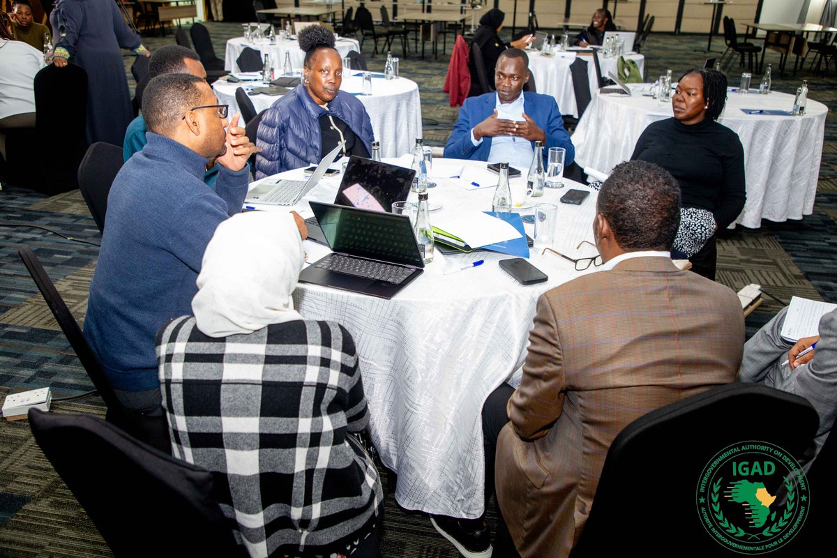 IGAD Gender tweet media
