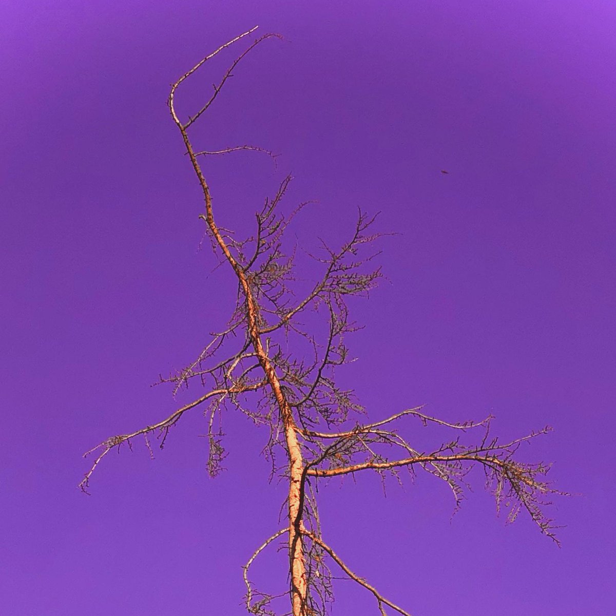 L'enfer

Je suis pas tout seul à être tout seul
I'm not alone in being alone

Ça fait déjà ça de moins dans la tête
That's already less in my head

Et si je comptais, combien on est
And if I counted, how many of us there are

Beaucoup
A lot

Tout ce à quoi j'ai déjà pensé