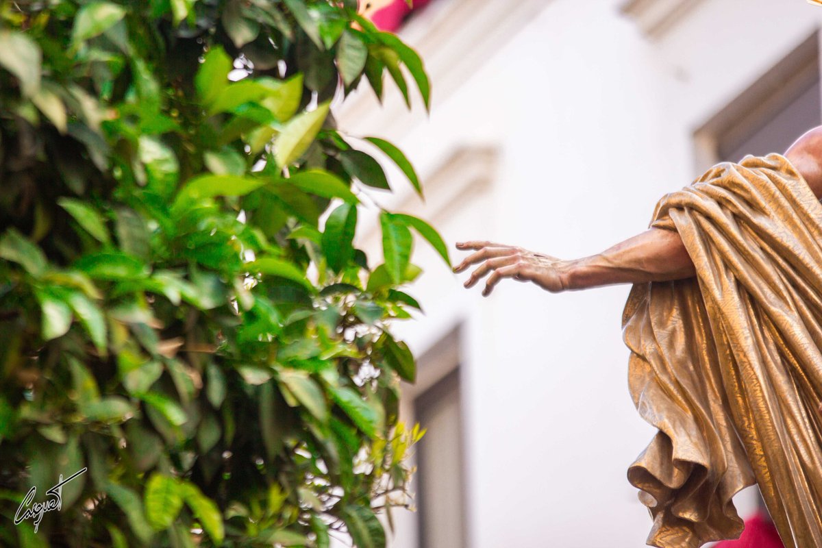 #SemanaSanta2025 | 𝐋𝐮𝐳 𝐝𝐞 𝐥𝐚 𝐦𝐚ñ𝐚𝐧𝐚.

#TDSCofrade #SSanta25

cc: <a href="/ResurreccionSev/">Resurrección Sevilla</a> <a href="/BMLasCigarreras/">BM Las Cigarreras</a>

📷 <a href="/JcCasquet/">José Carlos B. Casquet</a>

fotografiacasquet.blogspot.com/2025/06/doming…