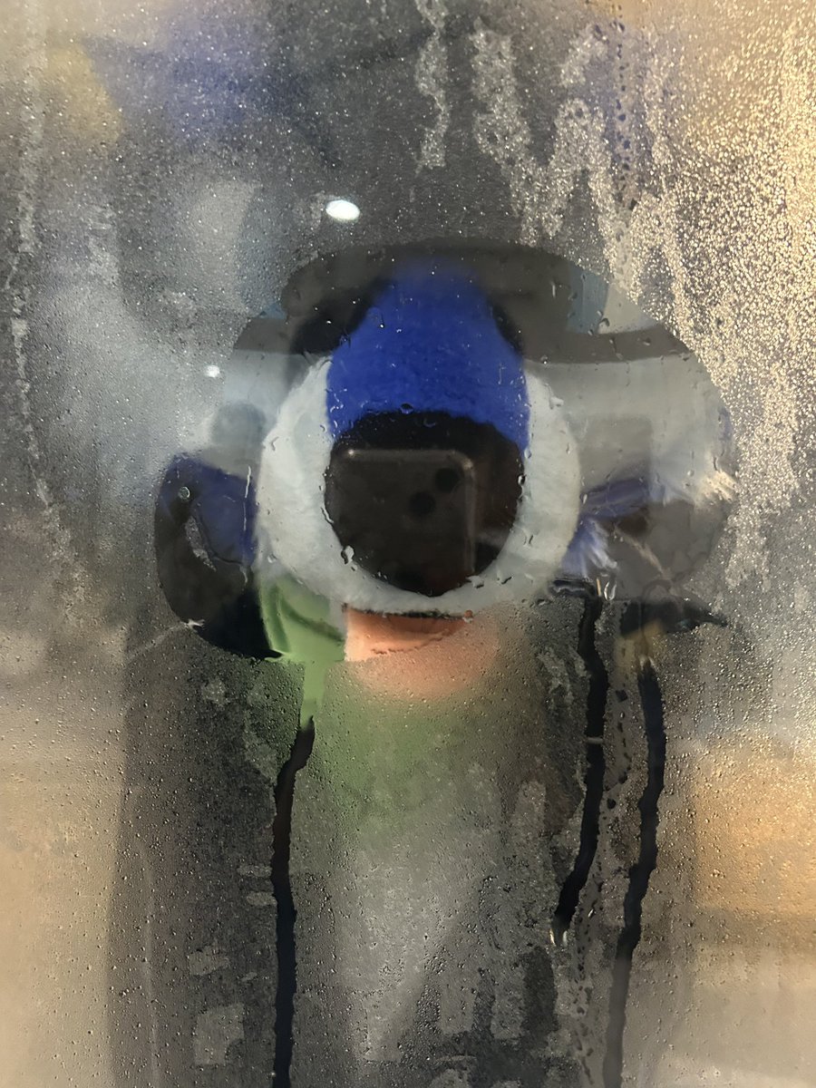 Hey why is it so foggy in there~~~

📸🐶<a href="/BillionEgg1/">BillionEgg1</a>