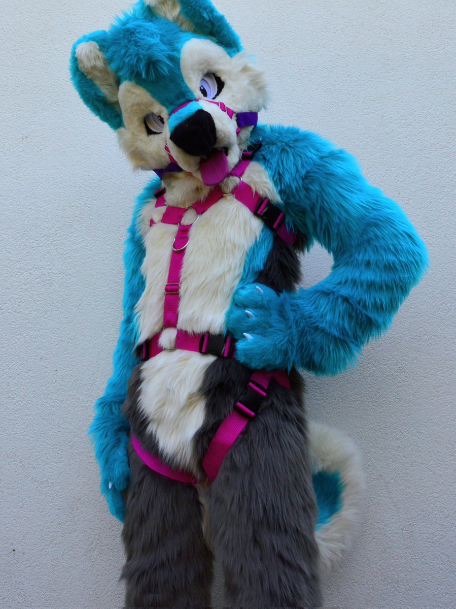 Got a Harness made by <a href="/Crunchycurl/">Crunchycurl</a>. I already love it so much