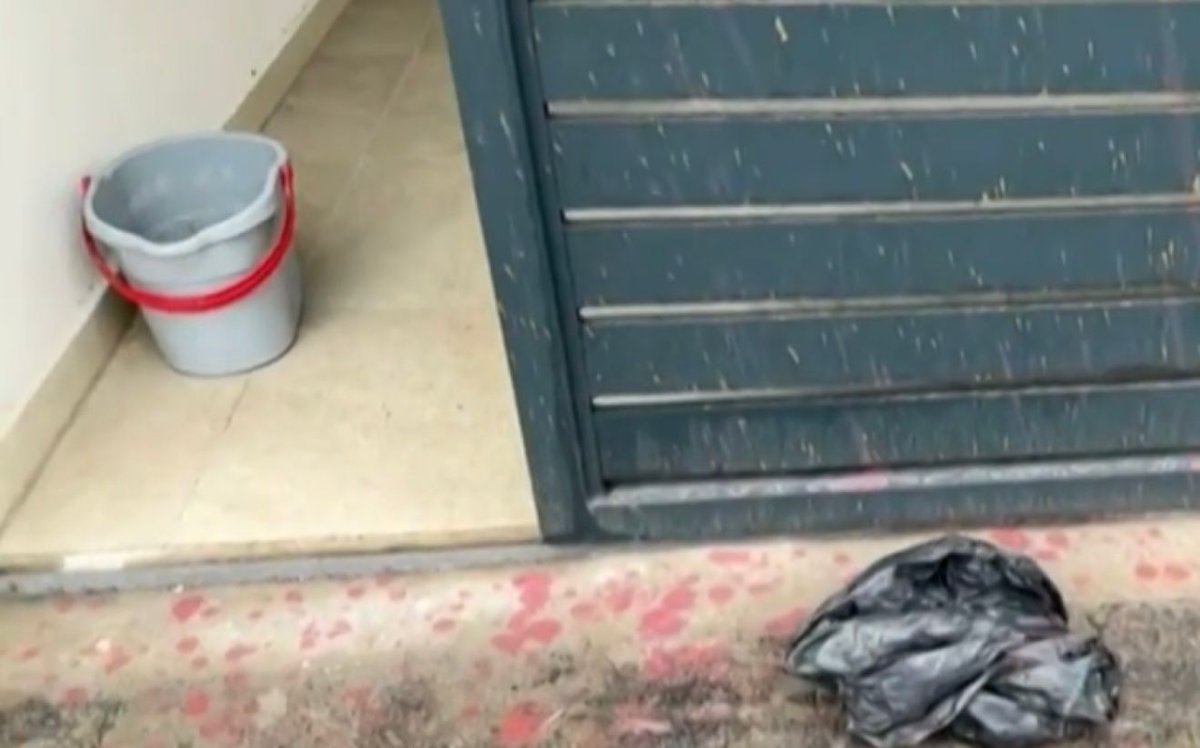 Најоштрије осуђујем напад на породичну кућу уредника Информера Драгана Ј. Вучићевића. Људи који се на овакав начин иживљавају над нечијом приватном имовином, који константно хушкају јавност и цртају мете на чела новинарима само зато што им се не допада како они извештавају, само