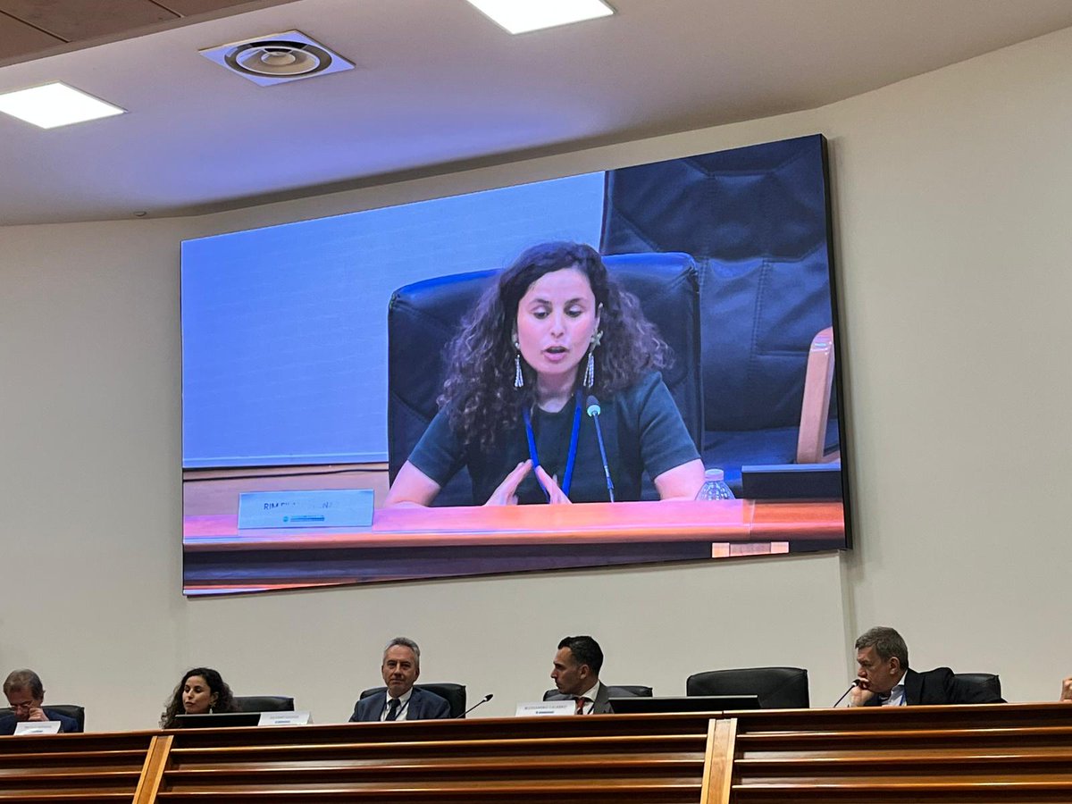 (2/2) <a href="/RimFilMek/">Rim Filali</a> presented the main insights from the #EuromedSurvey and the #EuroMeSCo consultation circles on #skills, #talent partnerships &amp; #mobility in a panel alongside <a href="/UfMSecretariat/">Union for the Mediterranean</a>, <a href="/EU4MENAGulf/">EU for Middle East, North Africa and the Gulf</a>, <a href="/EUScienceInnov/">EU Science & Innovation 🇪🇺</a> and <a href="/etfeuropa/">European Training Foundation 🇪🇺</a>