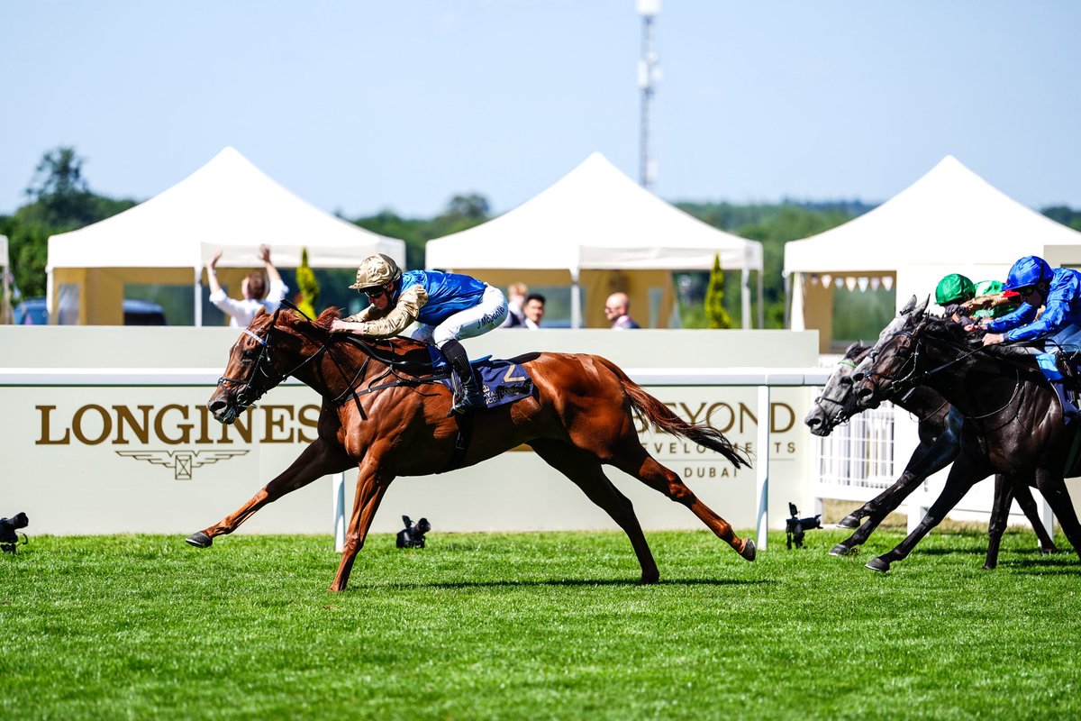 M3M_Racing's tweet photo. The field for the Falmouth Stakes (Group 1) is set, featuring a strong lineup that includes the Duke of Cambridge winner and last year’s 1000 Guineas winner.
🔵 Cinderella's Dream
🟣 January
🔴 Crimson Advocate
🟢 Running Lion
🟡 Elmalka
🔵 Elwateen
🔵 Atsila
⚪️ Lady Ilze
#M3R https://t.co/EO77YSy37t