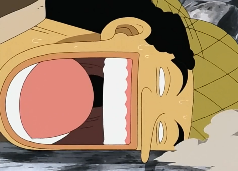 Soppyzone's tweet image. I am sorry, Usopp has died..................................

Nah but the face he makes when he&apos;s fully on the ground after getting bonked is beautiful xD poor guy