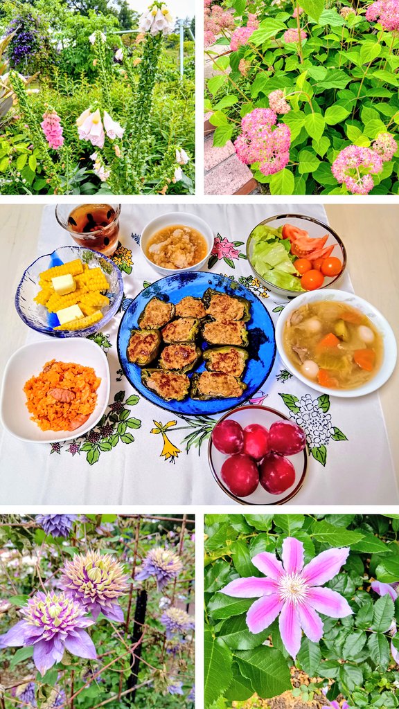 夏の花°❀⋆.ೃ࿔*
夏のご飯 ༘ ೀ⋆｡˚
旬のとうもろこし🌽と初すももを♥️