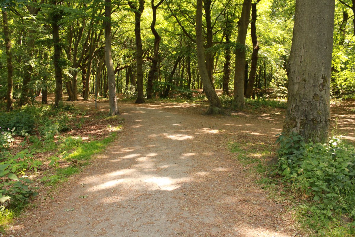 Tussen de stad en de duinen ligt een van de mooiste landgoederen van Nederland: Clingendael.

Er zijn twee korte wandelroutes vanaf de hoofdingang. 

Met slingerende paden, oude bomen, waterpartijen én de betoverende Japanse Tuin!
