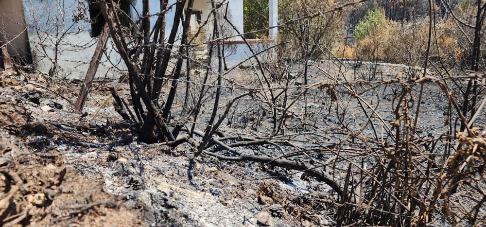 Hundreds have been forced to flee as wildfires spread in northwestern #Syria. <a href="/WFP/">World Food Programme</a> has begun distributing ready-to-eat food rations to farmers affected by the fire in #Lattakia &amp; prepositioning food for people in the coastal areas, which can support 2000 people for 5 days.