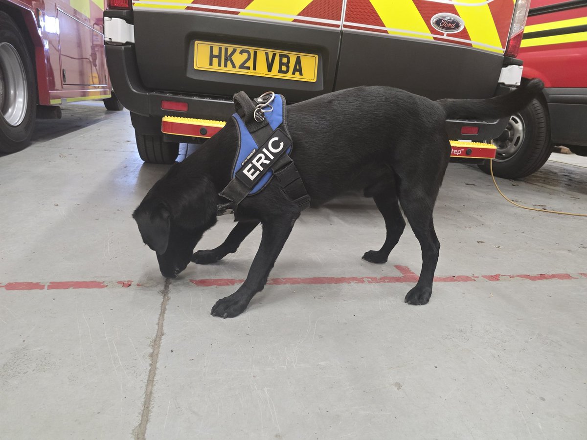 Hants_IOW Fire Dogs tweet media