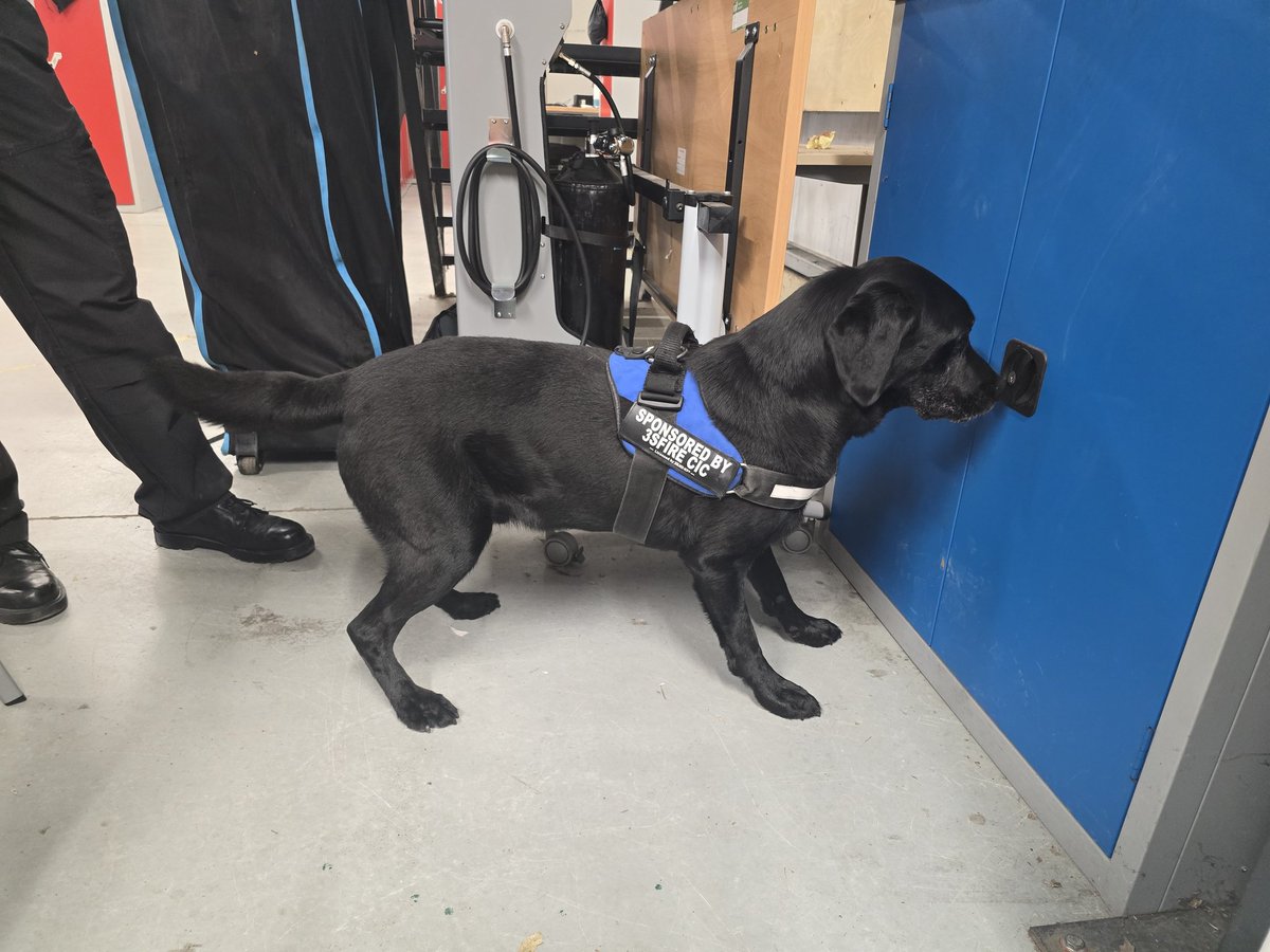 Hants_IOW Fire Dogs tweet media