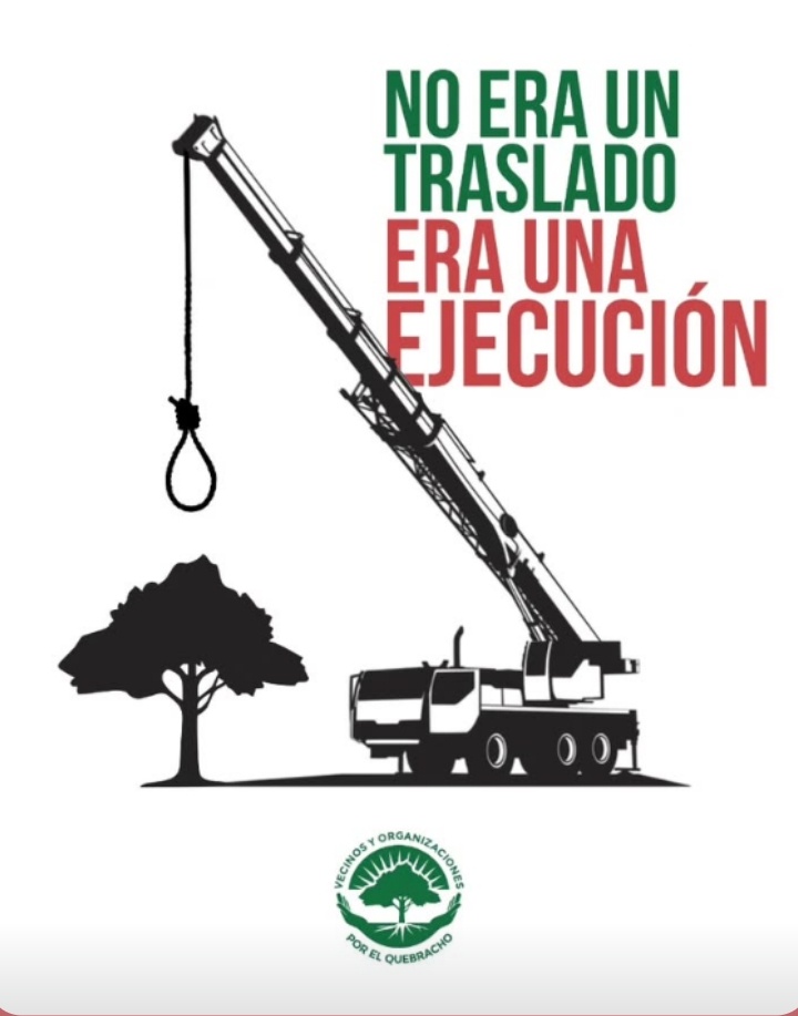 NuestrosArboles's tweet photo. El último Quebracho Blanco.
Centenario,patrimonio natural ,histórico y cultural de Córdoba.
Destruido por el gobierno de @MartinLlaryora Intendente :Cornet Pablo y la ministra de ambiente @tori_flores.
#ecocidas
#arboricidio
#quebrachoblanco https://t.co/LMnUD2WQcB