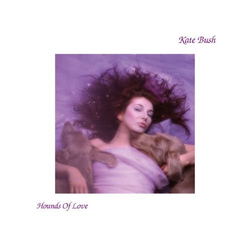 In the first of a twenty-feature run celebrating <a href="/KateBushMusic/">Kate Bush</a>'s Hounds of Love ahead of its fortieth anniversary on 16th September, I look inside John Carder Bush's mesmerising cover shot.
In the photo are Bush's Weimaraners, Bonnie and Clyde:
musicmusingsandsuch.com/musicmusingsan…