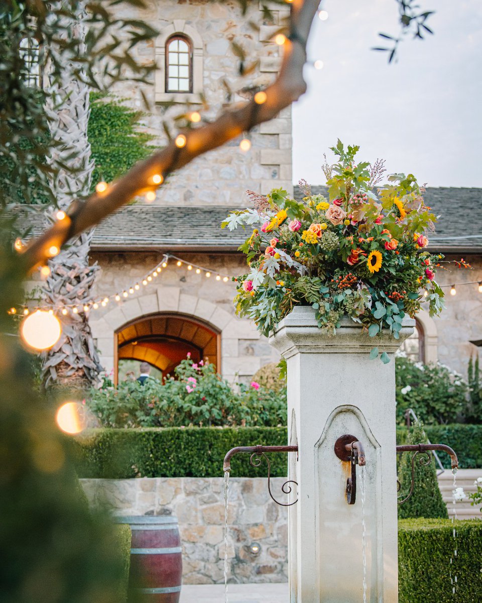 V. Sattui was one of the first wineries in Napa Valley to offer wine experiences by simply putting out a couple of picnic tables where guests could enjoy themselves. It’s a reflection of our true nature and belief that wine is best when shared with friends and family.