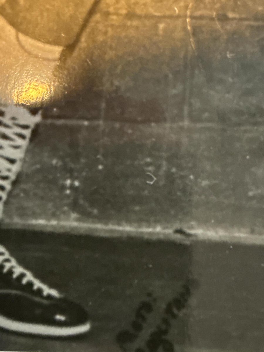 johnny15592326's tweet photo. Before Hulkamania, there was Terry Boulder. Late ‘70s, rocking the legendary “T” chest hair. Original print w/ photographer’s stamp — pure wrestling history. 💥
#HulkHogan #WrestlingHistory #TerryBoulder #VintageWrestling #WWF https://t.co/298ekfQOrO