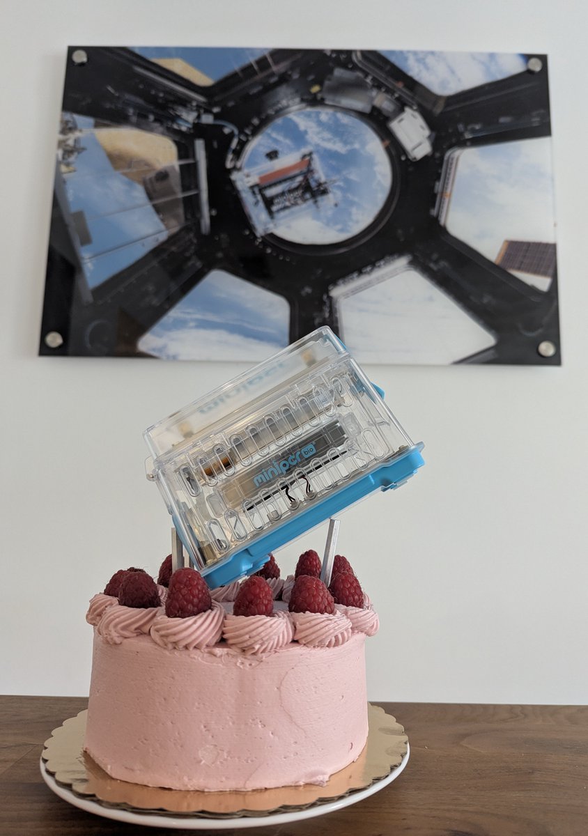 rn <a href="/miniPCR/">miniPCR bio</a> HQ 🎂