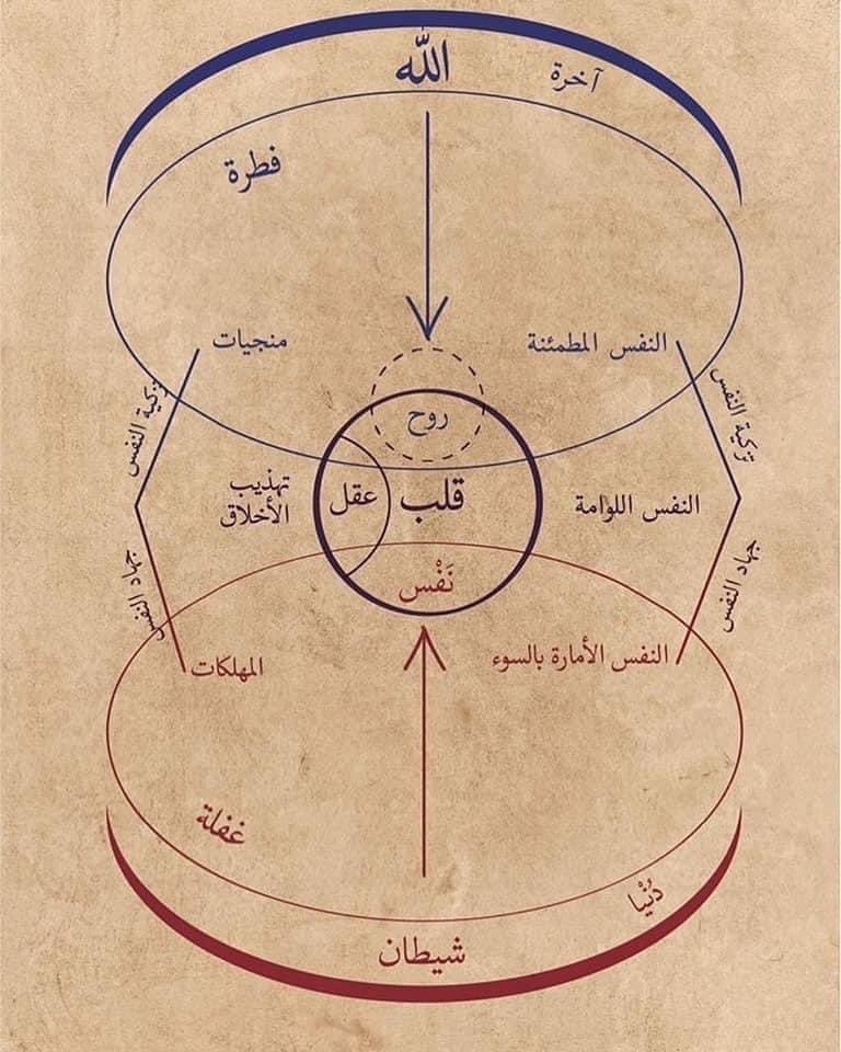 İbn Arabî'nin ruh diyagramı.
