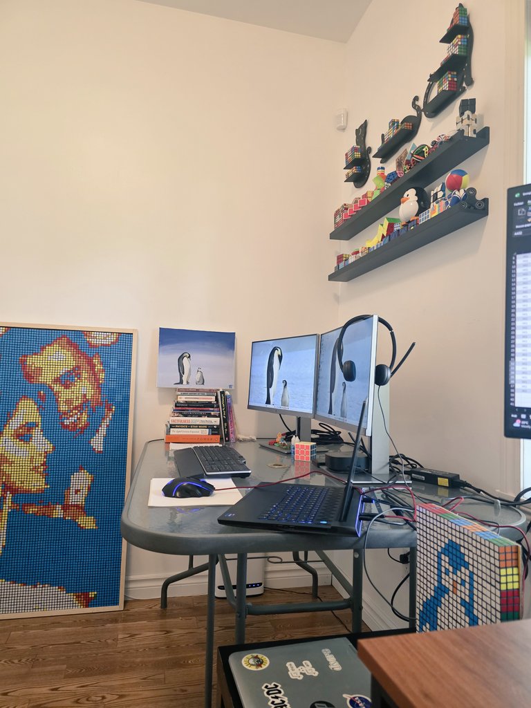 How do you expect me to work from office when my home office looks like  this