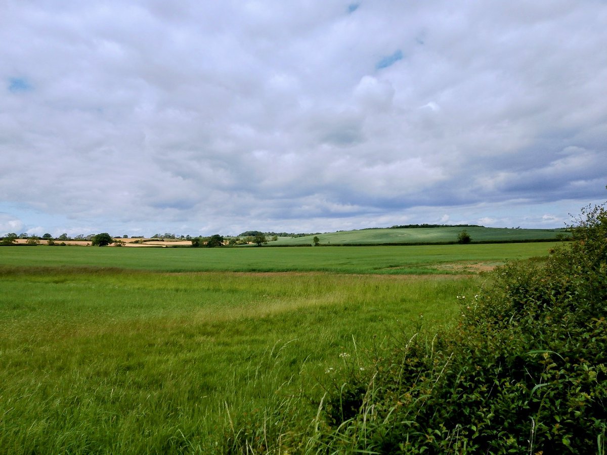 phil0073's tweet photo. 1/2 #RocklayHill from #Scaldwell2Faxton.Other lost settlements in #FaxtonLostVillage 's old Parish? Here mayB #RockleyLostVillage. #FackleyLostVillage & #FaxtonAncientLostVillage (as #Faxton moved over time ? )/ #PhilOnaBike #WednesdayWalks #FaxtonFields https://t.co/96F9ujzXqL