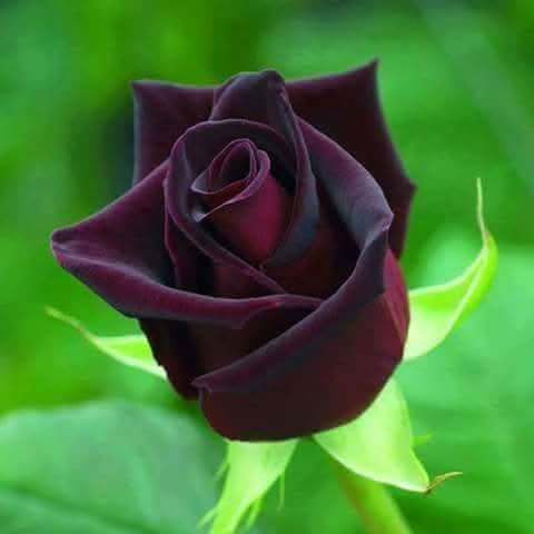 شازیہ (@ghz39) on Twitter photo #ملک_پرموشن
Follow⏬
<a href="/01Mllik/">𝙈𝘼𝙇𝙄𝙆 𝙅𝙄💫💙</a> <a href="/01rshd/">ارشـــد مــلــک❤️</a>
<a href="/1arshd/">𝗔𝗿𝘀𝗵𝗱 𝗠𝗹𝗶𝗸💫👑</a> <a href="/1Arshii/">𝓐𝓻𝓼𝓱𝓲 𝓜𝓵𝓲𝓴 ☪ツ</a>
<a href="/sehr_ik/">سحر ملک 🦋🦋</a> <a href="/111mn1/">🐬آمنہ ملک🦋</a>
<a href="/1fazl2/">فضـ𝓪𝓴𝓫𝓪𝓻ـل</a> <a href="/11iasd/">Ali Asad</a>
<a href="/1Sehar_/">𝐒ҽԋαʀ 👑</a>
<a href="/1Mahii_/">🦋ماہی ملک 🦋</a>
<a href="/0Sehrr/">سحر ملک 🕊️🦋</a>
<a href="/1shobii/">Shoaib</a>
<a href="/glmsjd/">𝑺𝒂𝒋𝒋𝒂𝒅 ✨</a>
<a href="/10bshr/">Bashir Ahmed</a>
<a href="/shz787/">🌟⭐️🌟🌟sʜᴀʜᴢᴀᴅ ᴍᴜɴɪʀ🌟⭐️🌟⭐️</a>
<a href="/11ain_a/">AnuM🪡</a>
<a href="/ZK__32/">Zumar Khan</a>
<a href="/Snam5_/">🍁Sanam🍁</a>
<a href="/shZ447/">𝕊𝕙𝕒𝕙𝕫𝕒𝕕 𝕄𝕦𝕟𝕚𝕣</a>
<a href="/Hurain_5/">Hurain 💞حورین</a>
<a href="/Haris_943/">Haris PTI ᵀᶠᴸᵂ</a>
<a href="/_1rhe/">شازیہ</a> <a href="/1fzalI/">💓PTI ACCOUNTS PROMORTER💓</a>
<a href="/Znt31/">🦋Zeenat🦋</a> <a href="/Znt33/">🦋ZêēñäT</a>
<a href="/guljnt/">گُل جنت🌷</a> <a href="/Pir_80/">Peer Shb</a>
<a href="/Ghz35/">🇬 🇭 🇦 🇿 🇦 🇱 🇦 🇭</a> <a href="/Fat9T/">Arshia🥀🍂</a>
<a href="/NK_pti/">𝒜𝓏𝒶𝒹 🇵🇰</a> <a href="/ze_kh1/">زینیـــــہ خـان🌸🍃</a> #ملک_پرموشن
Follow⏬
<a href="/01Mllik/">𝙈𝘼𝙇𝙄𝙆 𝙅𝙄💫💙</a> <a href="/01rshd/">ارشـــد مــلــک❤️</a>
<a href="/1arshd/">𝗔𝗿𝘀𝗵𝗱 𝗠𝗹𝗶𝗸💫👑</a> <a href="/1Arshii/">𝓐𝓻𝓼𝓱𝓲 𝓜𝓵𝓲𝓴 ☪ツ</a>
<a href="/sehr_ik/">سحر ملک 🦋🦋</a> <a href="/111mn1/">🐬آمنہ ملک🦋</a>
<a href="/1fazl2/">فضـ𝓪𝓴𝓫𝓪𝓻ـل</a> <a href="/11iasd/">Ali Asad</a>
<a href="/1Sehar_/">𝐒ҽԋαʀ 👑</a>
<a href="/1Mahii_/">🦋ماہی ملک 🦋</a>
<a href="/0Sehrr/">سحر ملک 🕊️🦋</a>
<a href="/1shobii/">Shoaib</a>
<a href="/glmsjd/">𝑺𝒂𝒋𝒋𝒂𝒅 ✨</a>
<a href="/10bshr/">Bashir Ahmed</a>
<a href="/shz787/">🌟⭐️🌟🌟sʜᴀʜᴢᴀᴅ ᴍᴜɴɪʀ🌟⭐️🌟⭐️</a>
<a href="/11ain_a/">AnuM🪡</a>
<a href="/ZK__32/">Zumar Khan</a>
<a href="/Snam5_/">🍁Sanam🍁</a>
<a href="/shZ447/">𝕊𝕙𝕒𝕙𝕫𝕒𝕕 𝕄𝕦𝕟𝕚𝕣</a>
<a href="/Hurain_5/">Hurain 💞حورین</a>
<a href="/Haris_943/">Haris PTI ᵀᶠᴸᵂ</a>
<a href="/_1rhe/">شازیہ</a> <a href="/1fzalI/">💓PTI ACCOUNTS PROMORTER💓</a>
<a href="/Znt31/">🦋Zeenat🦋</a> <a href="/Znt33/">🦋ZêēñäT</a>
<a href="/guljnt/">گُل جنت🌷</a> <a href="/Pir_80/">Peer Shb</a>
<a href="/Ghz35/">🇬 🇭 🇦 🇿 🇦 🇱 🇦 🇭</a> <a href="/Fat9T/">Arshia🥀🍂</a>
<a href="/NK_pti/">𝒜𝓏𝒶𝒹 🇵🇰</a> <a href="/ze_kh1/">زینیـــــہ خـان🌸🍃</a>