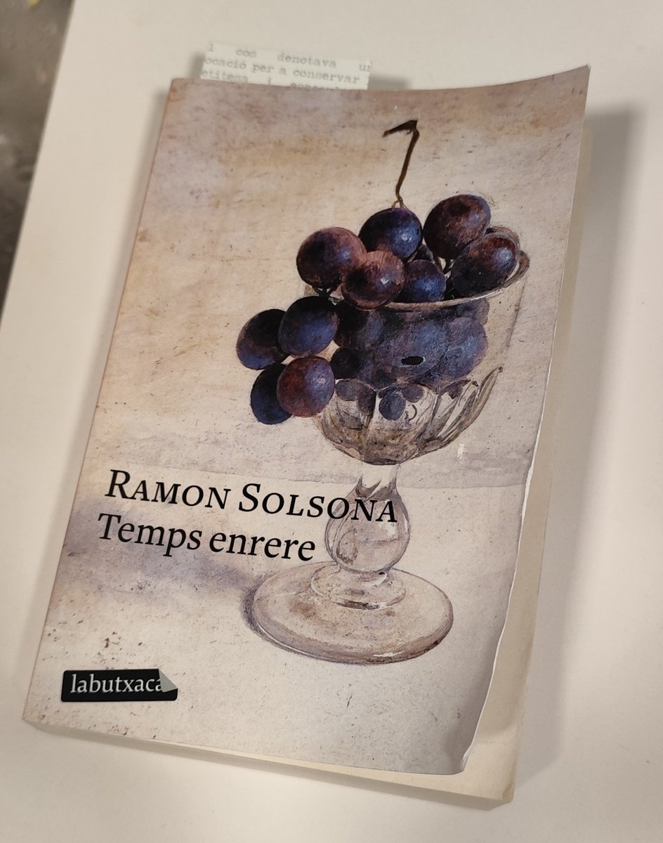 'Temps enrere', Ramon Solsona.

2 vides, 2 punts de vista q reculen en el temps, el Priorat i Alemanya, vida pagesa i urbana, franquisme i postfranquisme... Els pares, ls fills, ls veïns, els amics... 

Una novel·la molt d l'estil Solsona. I una lectura excel·lent x a l'estiu!