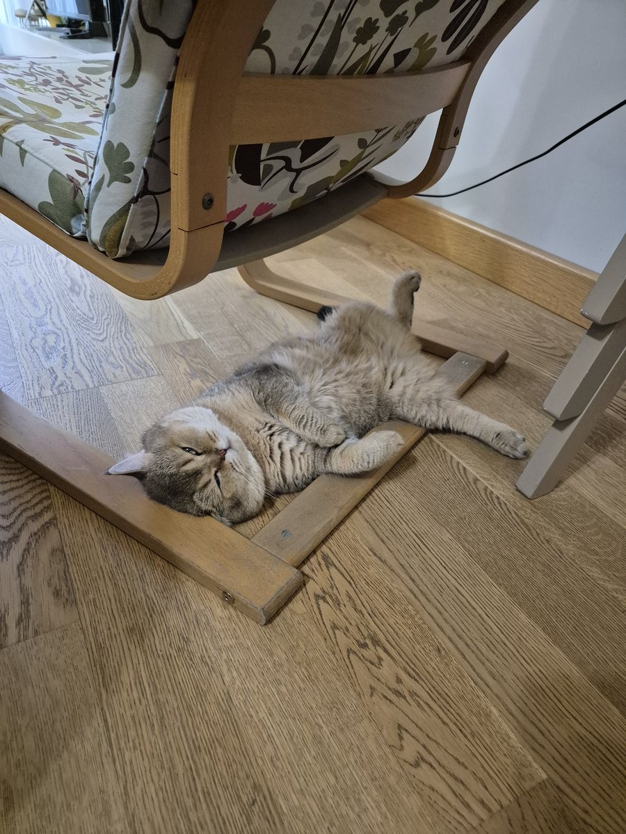 Kliması olmayanlar tarafından sahiplendiği güne sövdüğü anlar