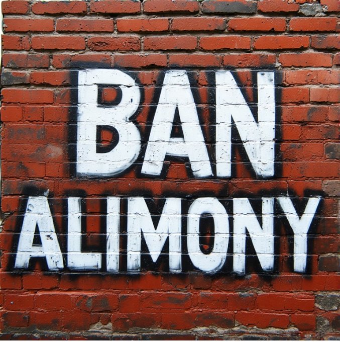 गांव - गांव, शहर- शहर 
अब तो बस एक ही लहर 
बंद करो Alimony का कहर 
#BanAlimony